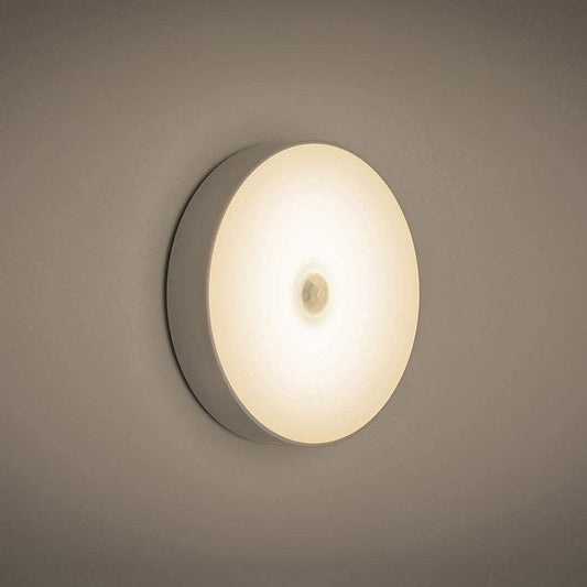 Motion Sensor LED Light
