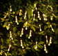 Waterdrop LED String Light