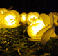 Rose Flower String Light