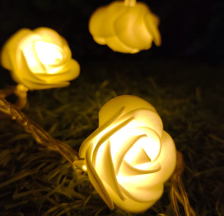 Rose Flower String Light