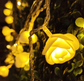 Rose Flower String Light