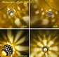 Moroccan Ball String Lights