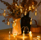 Golden Spring Fairy Lights