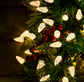 Christmas String Lights